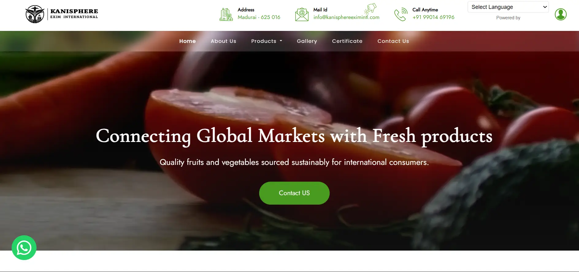 Best Web Designers in Madurai